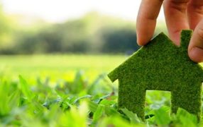 Inmobiliaria verde : Alza en proyectos de viviendas sustentables 
